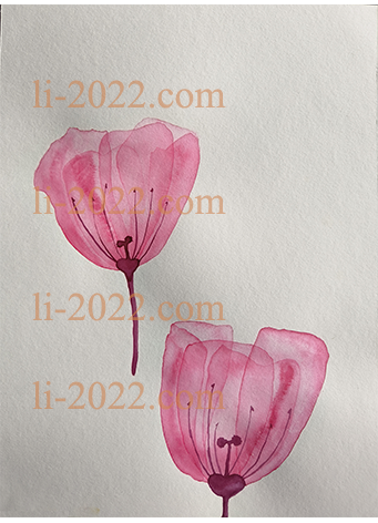 Digital Aquarelle Tulip A